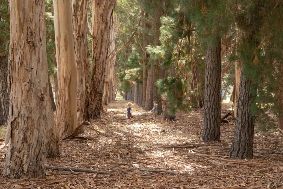 Expert Roadside Support Tailored for Duval County Drivers — Jacksonville, FL